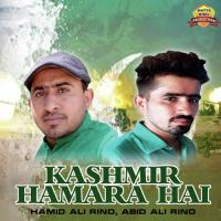 Kashmir Hamara Hai Hamid Ali Rind,Abid Ali Rind Song Download Mp3