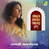 Bajlo Tomar Aalor Benu Somashree GhoshDastidar Song Download Mp3