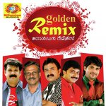 Golden Remix songs mp3
