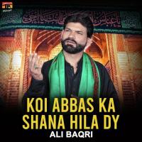 Koi Abbas Ka Shana Hila Dy songs mp3