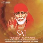 Aarti Shri Sai Guruvar Ki Pandit Sanjeev Abhyankar Song Download Mp3