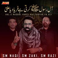 Aal E Rasool Karti Hai Faryad Ya Ali S. M. Zaki,S. M. Naqi,S. M. Razi Song Download Mp3