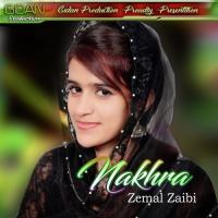Mosam Jammari Zeemal Zaibi Song Download Mp3