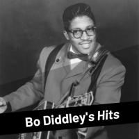 Bring It To Jerome Bo Diddley Song Download Mp3