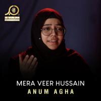 Mera Veer Hussain songs mp3