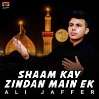 Shaam Kay Zindan Main Ek Ali Jaffer Song Download Mp3