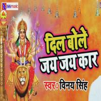 Dil Bole Jai Jai Kaar Vinay Singh Song Download Mp3