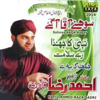 Hussaini Hai Hum Hafiz Ahmed Raza Qadri Song Download Mp3