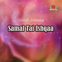 Samal Tai Ishqaa Gulab Jumma Song Download Mp3