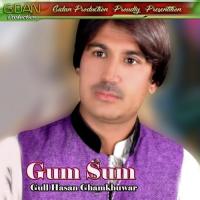 Gum Sum songs mp3