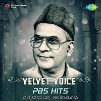 Velvet Voice - PBS Hits songs mp3