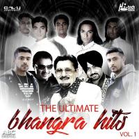 The Ultimate Bhangra Hits Vol. 1 songs mp3