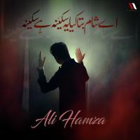 Ay Sham Bata Kia Ye Sakina Hai Sakina Ali Hamza Song Download Mp3