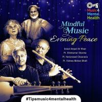 Raga Bageshwari - Drut Gat Set To Teentaal Ustad Amjad Ali Khan Song Download Mp3