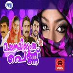 Perunnal Ravile Shaji Edappal Song Download Mp3