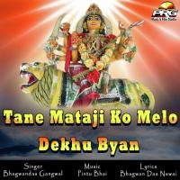 Tane Mataji Ko Melo Dekhu Byan songs mp3