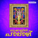 Thrikkayyil Venna Tharam Veenalakshmi Song Download Mp3