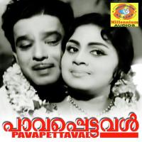 Jeevithamennathu Sugamaanu B Vasantha Song Download Mp3