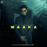 Waaka Preet Randhawa Song Download Mp3