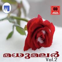 Mohangal Ameer Song Download Mp3