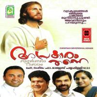 Hridhaya Jwalayil Rajalakshmy,Br. Jinu Kaithakkalam,Fr. Mathews Song Download Mp3