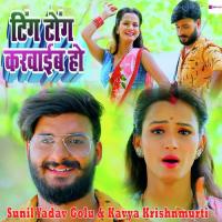 Ting Tong Karwaib Ho Sunil Yadav Golu,Kavya Krishnmurti Song Download Mp3