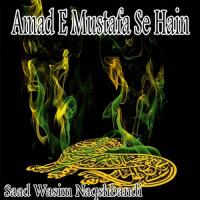 Owaision Main Baith Ja Saad Wasim Naqshbandi Song Download Mp3