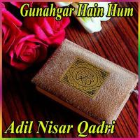 Mere Dil Ki Hai Pukar Adil Nisar Qadri Song Download Mp3