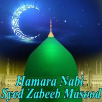 Hamara Nabi songs mp3