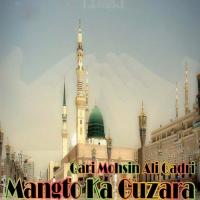Mangto Ka Guzara Qari Mohsin Ali Qadri Song Download Mp3