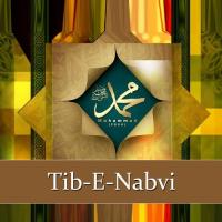Tib-e-Nabvi, Vol. 1 songs mp3