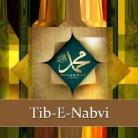 Tib-e-Nabvi, Vol. 2 songs mp3