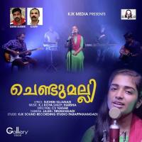 Chendu Malli Harsha Song Download Mp3