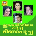 Kalyani P. Jayachandran Song Download Mp3