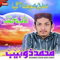 Madni Sohna Agaya songs mp3