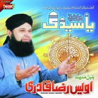 Main Lajpalan De Alhajj Muhammad Owais Raza Qadri Song Download Mp3