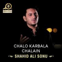 Chalo Karbala Chalain Shahid Ali Sonu Song Download Mp3