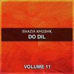 Ho Jamalo Shazia Khushk Song Download Mp3