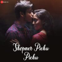 Shopner Pichu Pichu Pijush Das Song Download Mp3
