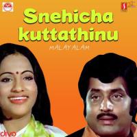 Snehicha Kuttathinu songs mp3