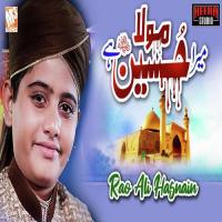 Mera Mola Hussain He Rao Ali Hasnain Song Download Mp3