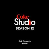 Roshe Zebunnisa Bangash Song Download Mp3