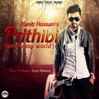 Prithibi Habib Hossain Song Download Mp3