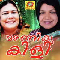 Viswa Prapanghathin Vilayil Faseela Song Download Mp3