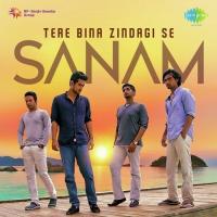 Tere Bina Zindagi Se Sanam (Band) Song Download Mp3