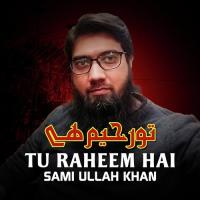 Tu Raheem Hai Sami Ullah Khan Song Download Mp3