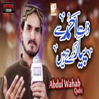 Zaat E Ahmed Abdul Wahab Qadri Song Download Mp3