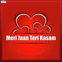 Meri Jaan Teri Kasam songs mp3