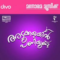 Vinnil Minnum Thaarame Haricharan Song Download Mp3