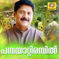 Pambayattirambil (From "Sudhamadhalam") Venugopal,SP Venkitesh Song Download Mp3